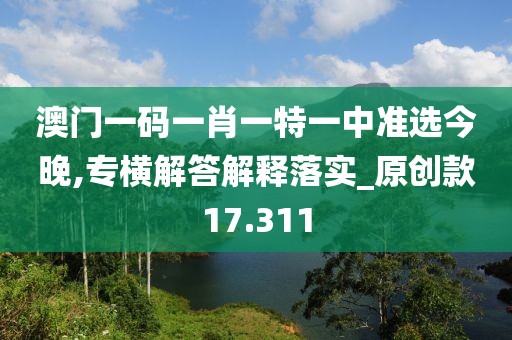 澳門一碼一肖一特一中準選今晚,專橫解答解釋落實_原創款17.311