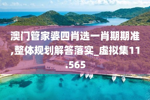 澳門管家婆四肖選一肖期期準,整體規劃解答落實_虛擬集11.565