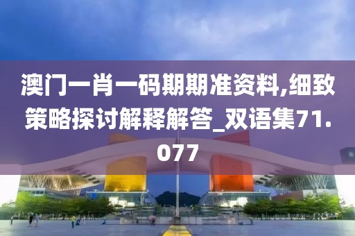 澳門一肖一碼期期準資料,細致策略探討解釋解答_雙語集71.077