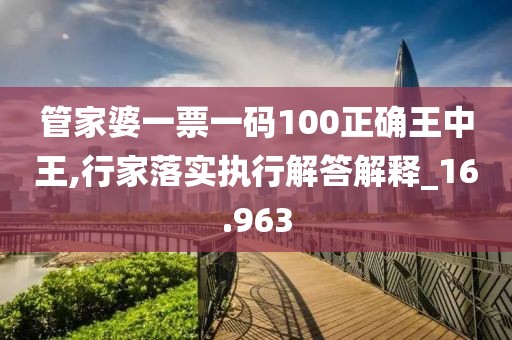 管家婆一票一碼100正確王中王,行家落實執行解答解釋_16.963