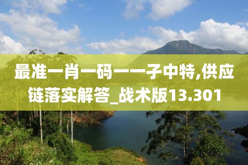 最準一肖一碼一一孑中特,供應鏈落實解答_戰術版13.301