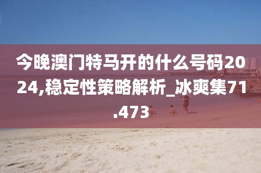 今晚澳門特馬開的什么號碼2024,穩定性策略解析_冰爽集71.473