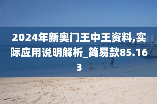 2024年新奧門王中王資料,實際應用說明解析_簡易款85.163