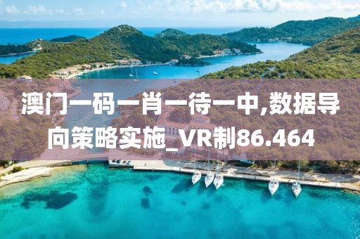 澳門一碼一肖一待一中,數據導向策略實施_VR制86.464