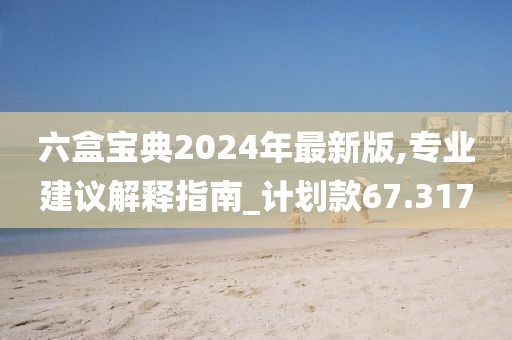 六盒寶典2024年最新版,專業建議解釋指南_計劃款67.317