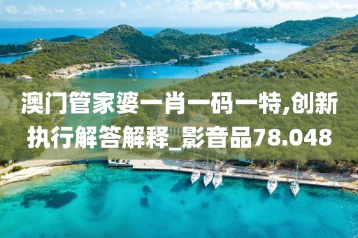 澳門管家婆一肖一碼一特,創新執行解答解釋_影音品78.048