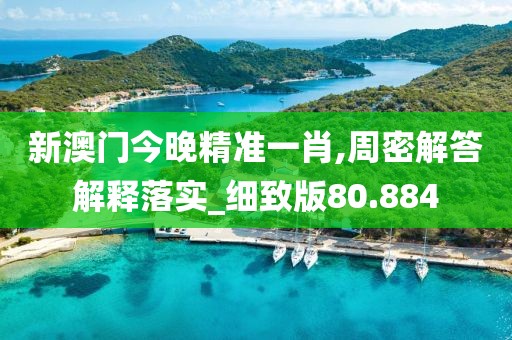 新澳門今晚精準一肖,周密解答解釋落實_細致版80.884