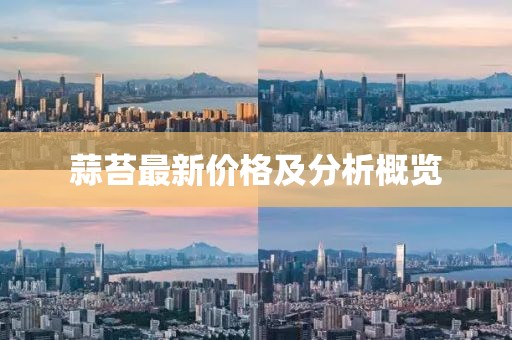 禾信然 第7頁