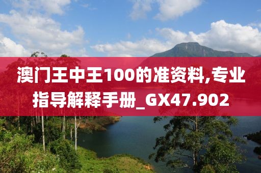 澳門王中王100的準資料,專業指導解釋手冊_GX47.902