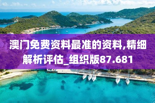 澳門免費資料最準的資料,精細解析評估_組織版87.681
