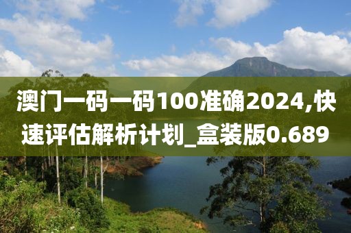 澳門一碼一碼100準確2024,快速評估解析計劃_盒裝版0.689