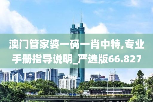 澳門管家婆一碼一肖中特,專業手冊指導說明_嚴選版66.827