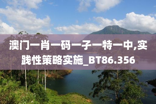 澳門一肖一碼一孑一特一中,實踐性策略實施_BT86.356