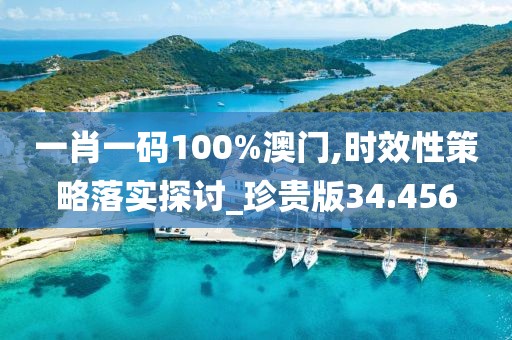 一肖一碼100%澳門,時效性策略落實探討_珍貴版34.456