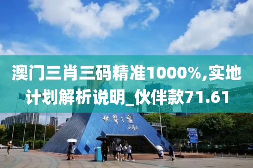 澳門三肖三碼精準1000%,實地計劃解析說明_伙伴款71.61