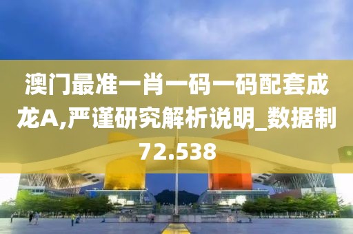 澳門最準一肖一碼一碼配套成龍A,嚴謹研究解析說明_數據制72.538