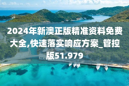 2024年新澳正版精準資料免費大全,快速落實響應方案_管控版51.979
