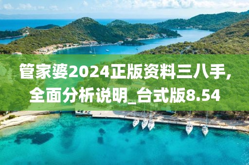 管家婆2024正版資料三八手,全面分析說明_臺式版8.54