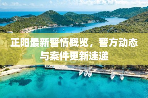 正陽最新警情概覽，警方動態與案件更新速遞