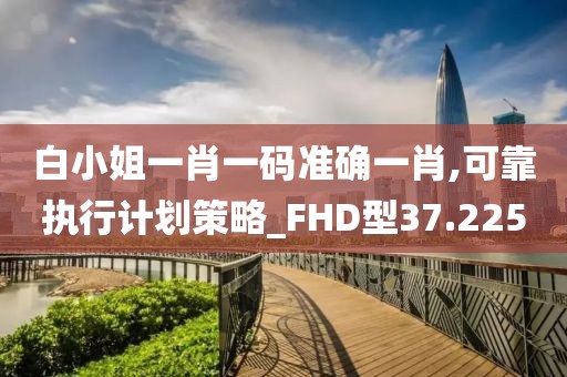 白小姐一肖一碼準確一肖,可靠執行計劃策略_FHD型37.225