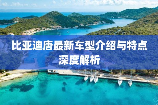 比亞迪唐最新車型介紹與特點深度解析
