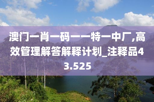 澳門一肖一碼一一特一中廠,高效管理解答解釋計劃_注釋品43.525