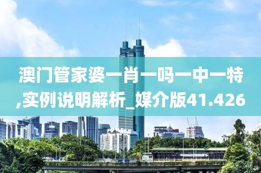澳門管家婆一肖一嗎一中一特,實例說明解析_媒介版41.426