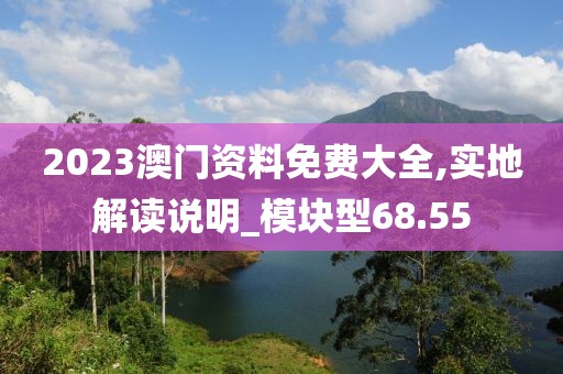 2023澳門資料免費大全,實地解讀說明_模塊型68.55