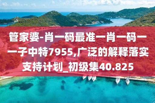 管家婆-肖一碼最準一肖一碼一一子中特7955,廣泛的解釋落實支持計劃_初級集40.825