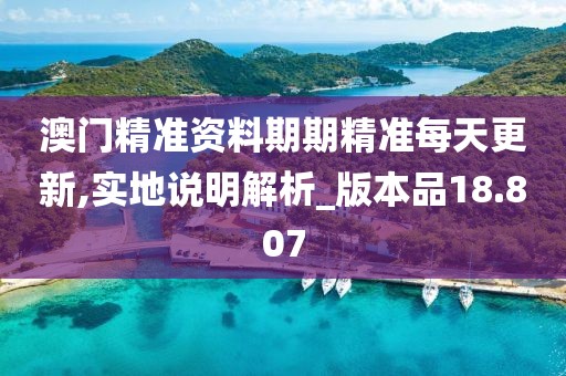 澳門精準資料期期精準每天更新,實地說明解析_版本品18.807