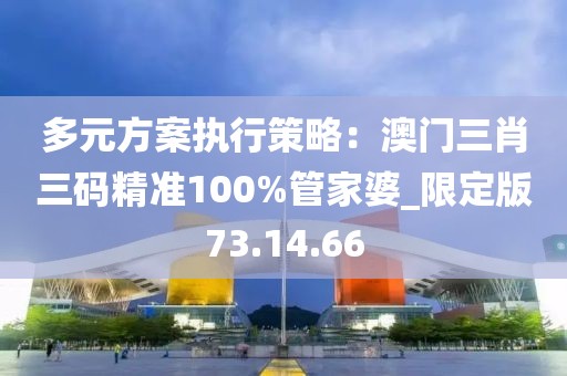 多元方案執行策略：澳門三肖三碼精準100%管家婆_限定版73.14.66