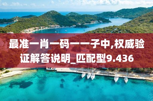 最準一肖一碼一一子中,權威驗證解答說明_匹配型9.436