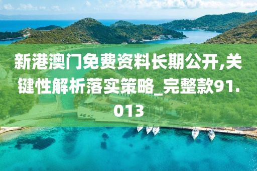新港澳門免費資料長期公開,關鍵性解析落實策略_完整款91.013