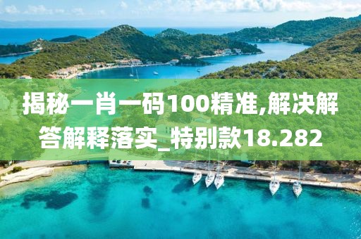 揭秘一肖一碼100精準,解決解答解釋落實_特別款18.282