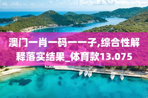澳門一肖一碼一一子,綜合性解釋落實結果_體育款13.075