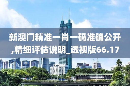 新澳門精準一肖一碼準確公開,精細評估說明_透視版66.17
