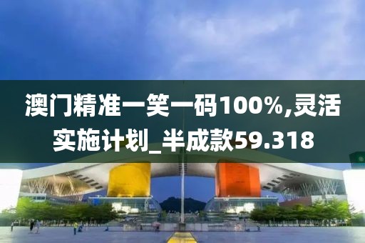 澳門精準一笑一碼100%,靈活實施計劃_半成款59.318