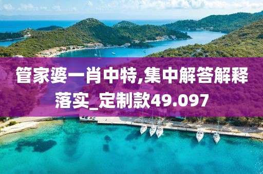 管家婆一肖中特,集中解答解釋落實_定制款49.097