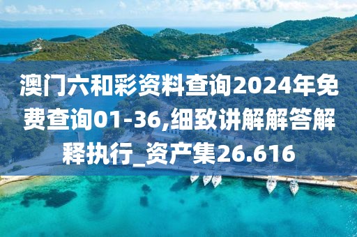 澳門六和彩資料查詢2024年免費查詢01-36,細致講解解答解釋執行_資產集26.616