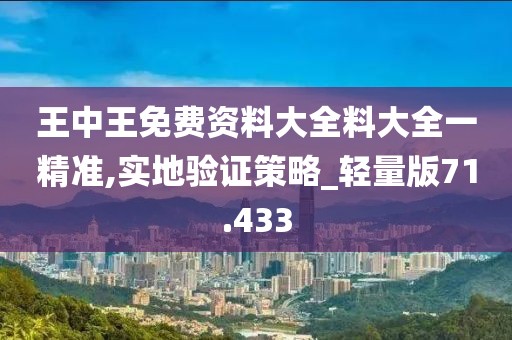 王中王免費資料大全料大全一精準,實地驗證策略_輕量版71.433