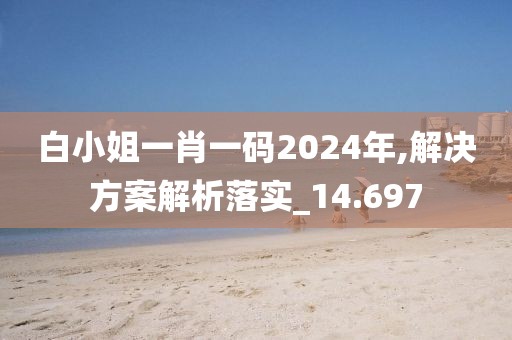 白小姐一肖一碼2024年,解決方案解析落實_14.697