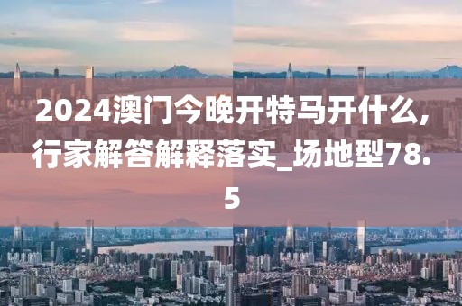 2024澳門今晚開特馬開什么,行家解答解釋落實_場地型78.5