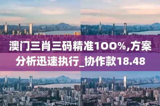 澳門三肖三碼精準1OO%,方案分析迅速執行_協作款18.48