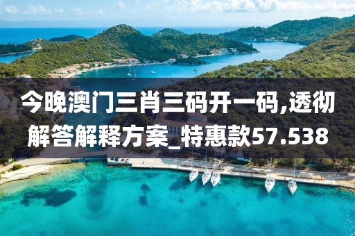 今晚澳門三肖三碼開一碼,透徹解答解釋方案_特惠款57.538