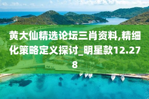 黃大仙精選論壇三肖資料,精細化策略定義探討_明星款12.278