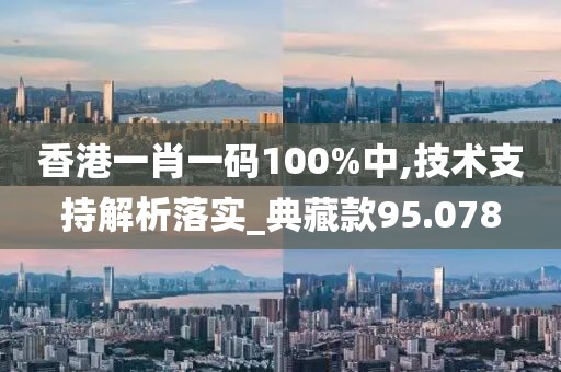香港一肖一碼100%中,技術支持解析落實_典藏款95.078