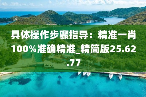 具體操作步驟指導：精準一肖100%準確精準_精簡版25.62.77