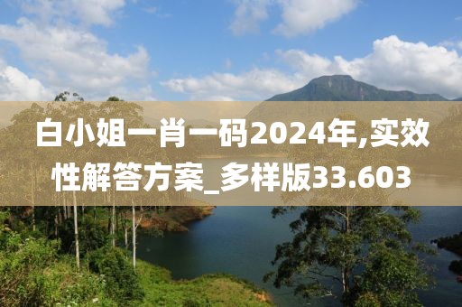 白小姐一肖一碼2024年,實效性解答方案_多樣版33.603
