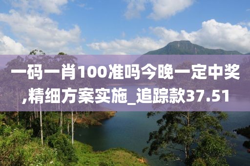 一碼一肖100準嗎今晚一定中獎,精細方案實施_追蹤款37.51