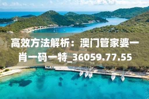 高效方法解析：澳門管家婆一肖一碼一特_36059.77.55